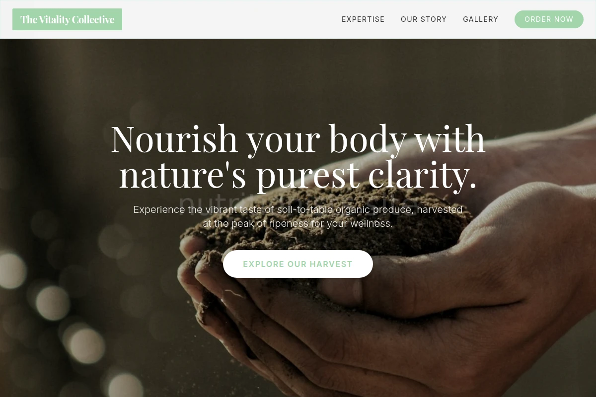 Bloom Organic Food