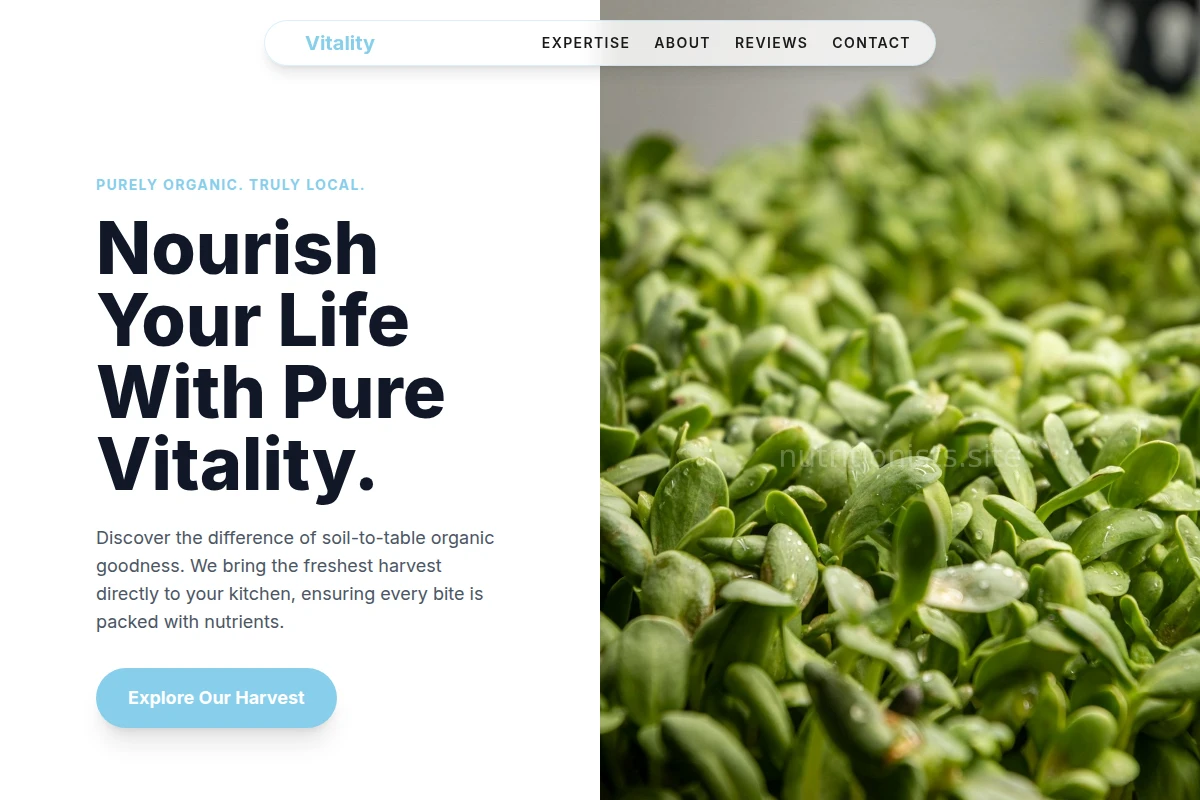Natural Organic Food
