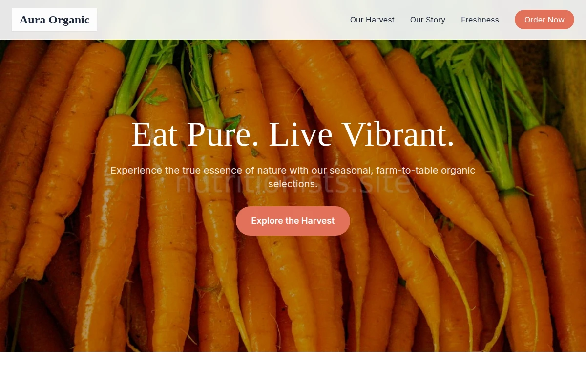 Aura Organic Food